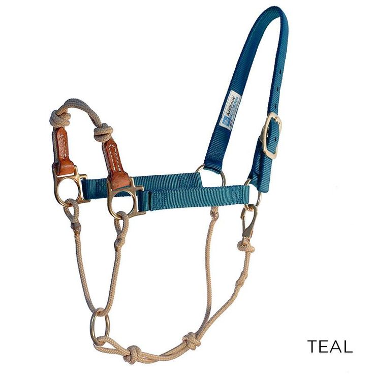 a blue bridle with two brown reins and a tan noseband on a white background