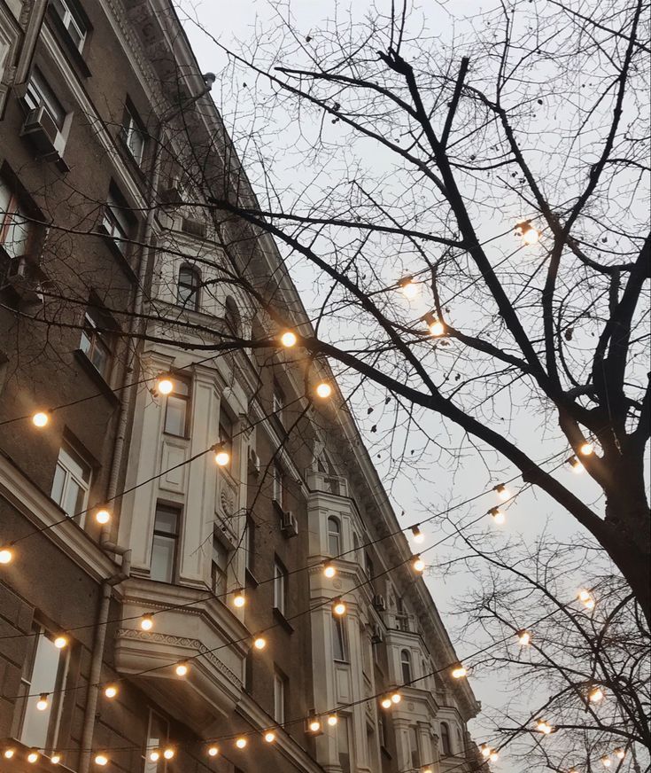 the lights are hanging from the tree in front of the building with no leaves on it