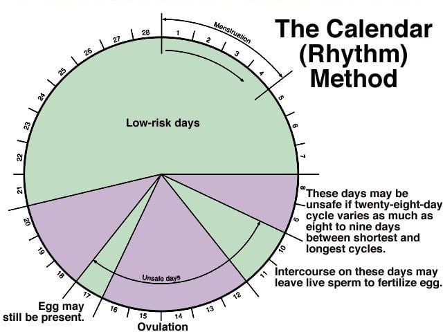 the calendar rhythm method is shown in this graphic above it's description