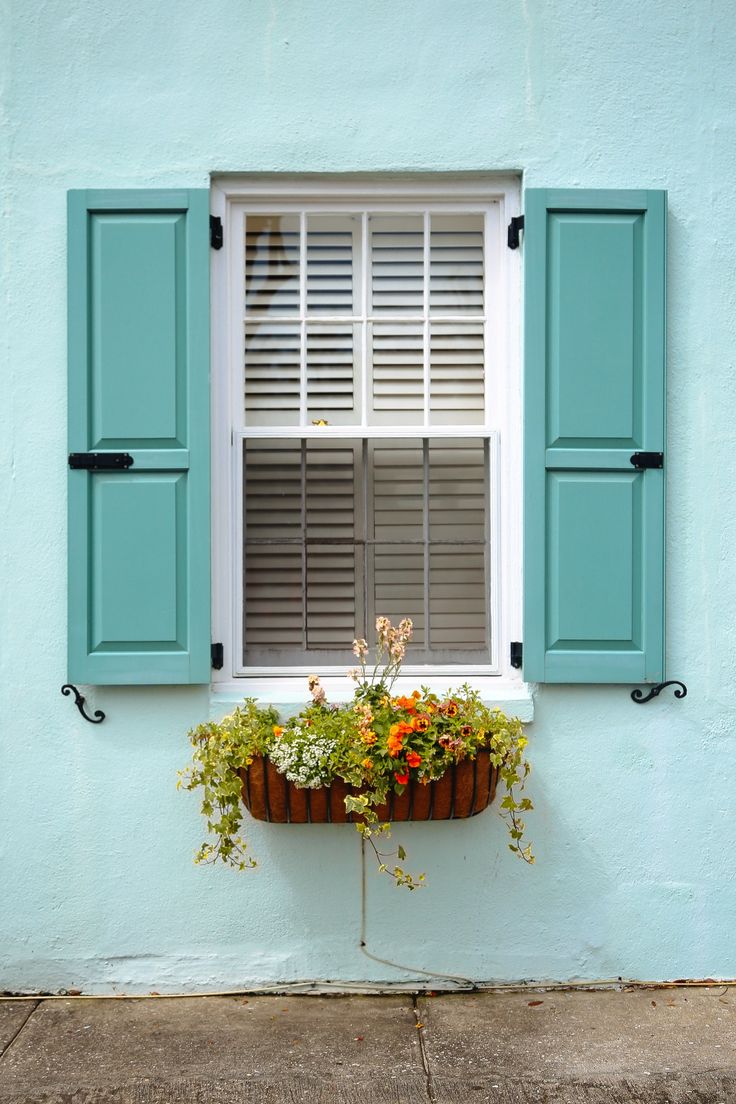 a window with blue shutters and flowers in the planter on the side of it