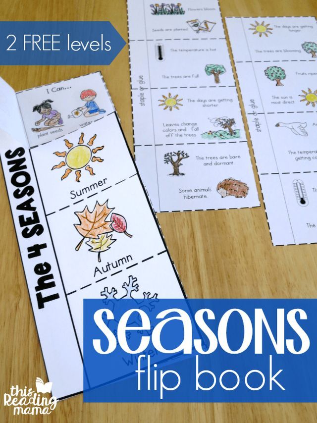 the seasons flip book with two free levels to help students learn how to use it