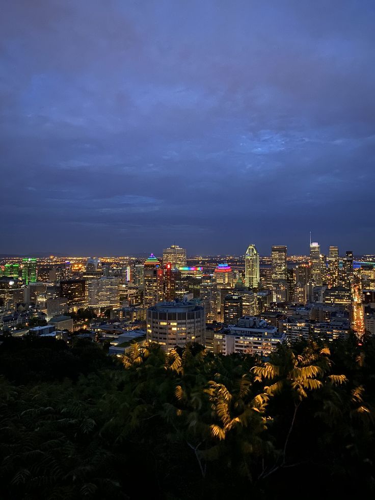 the city skyline is lit up at night, as seen from atop a hill with trees