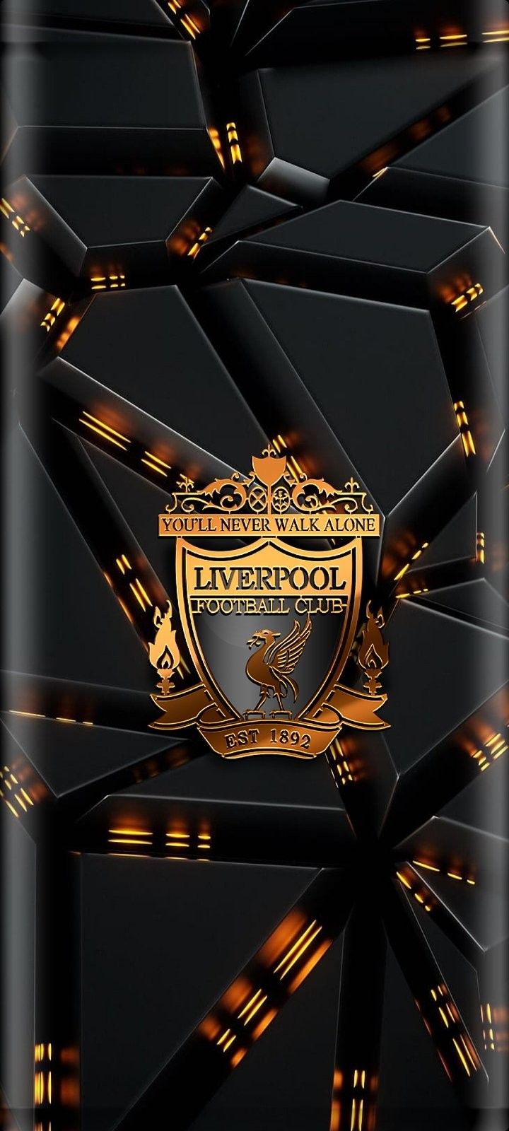 a black and gold background with the liverpool crest on it's back cover is shown