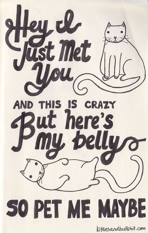 a black and white sign with cats on it that says hey, just met you and this is crazy but here's my belly so pet me maybe