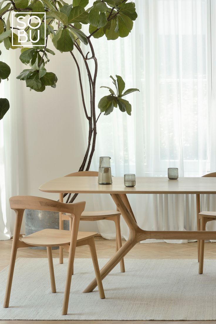 a table with two chairs next to a potted plant in front of a window