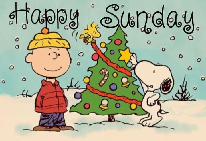 a charlie brown christmas card with a cartoon character next to a tree that says happy sunday