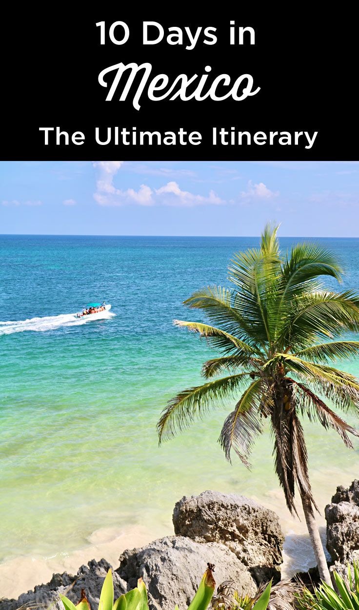 a palm tree on the beach with text overlay reading 10 days in mexico the ultimate itinerary