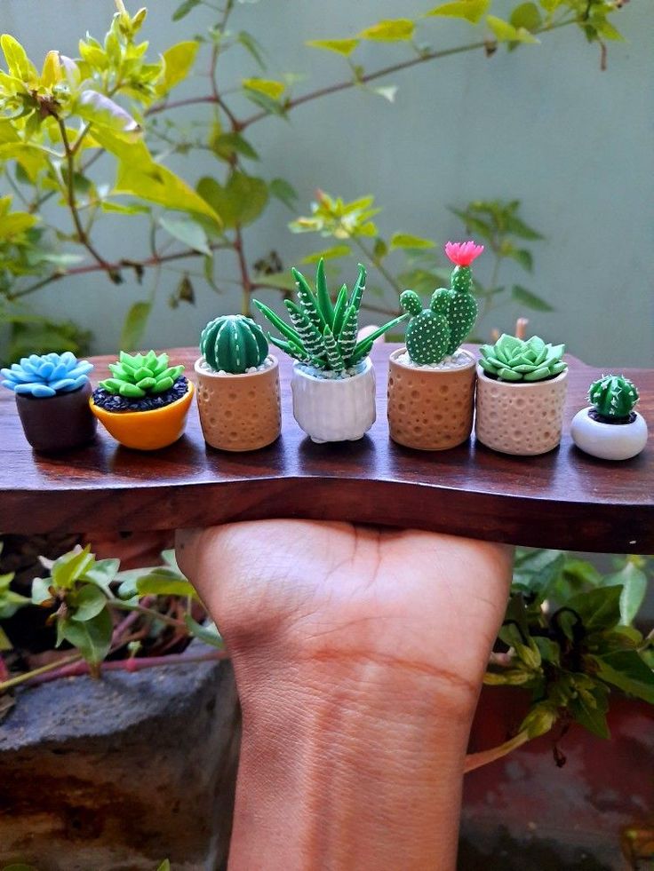 miniature succulents are arranged on a wooden table