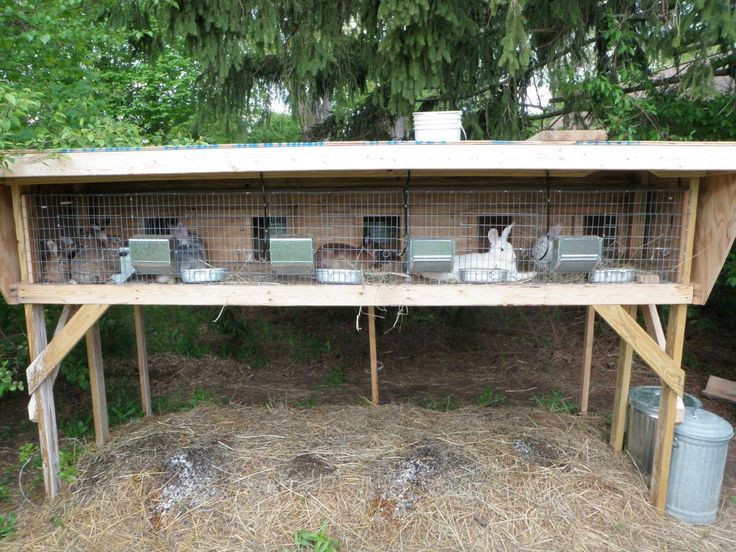 a wooden table topped with lots of cages filled with birds and rabbits in it's own yard