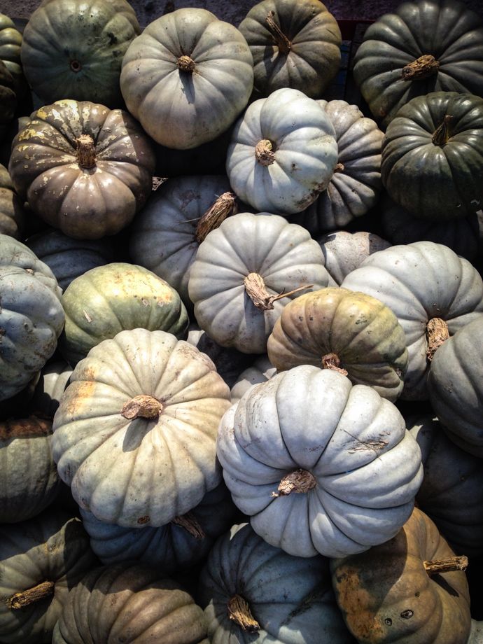 there are many pumpkins stacked on top of each other in this pile, all different colors and sizes