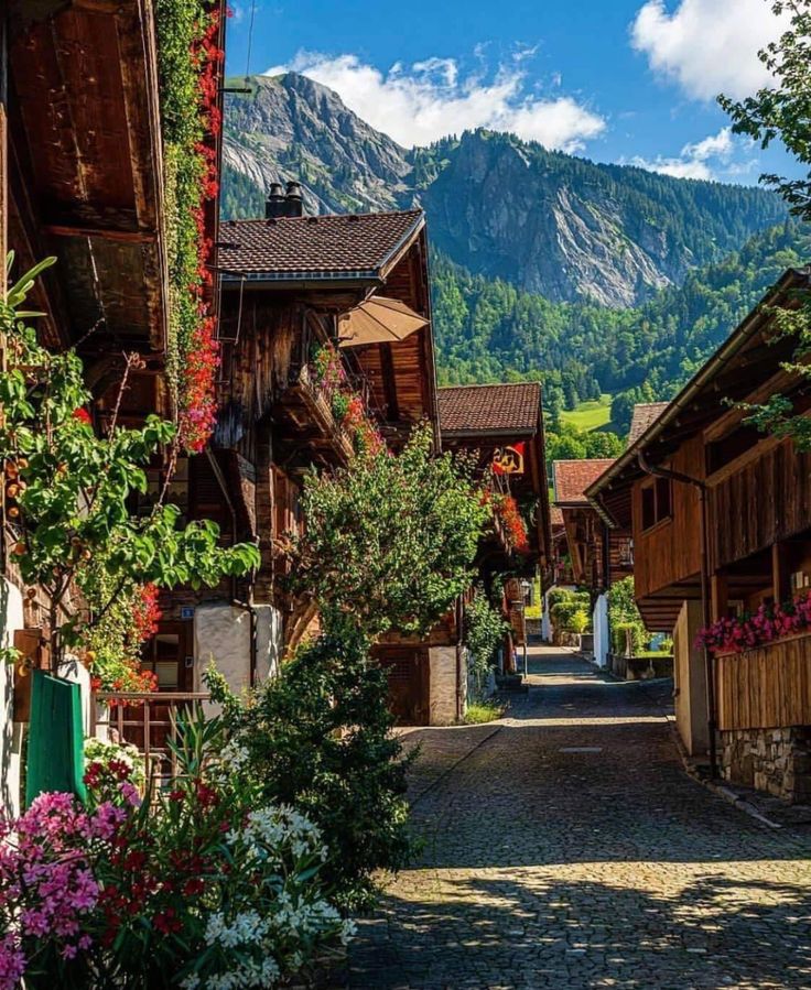 an alley way with flowers and mountains in the backgrouds on either side