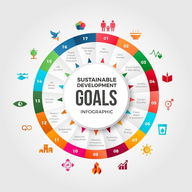 a colorful circle with the words,'sustainable development goals infographic'in it