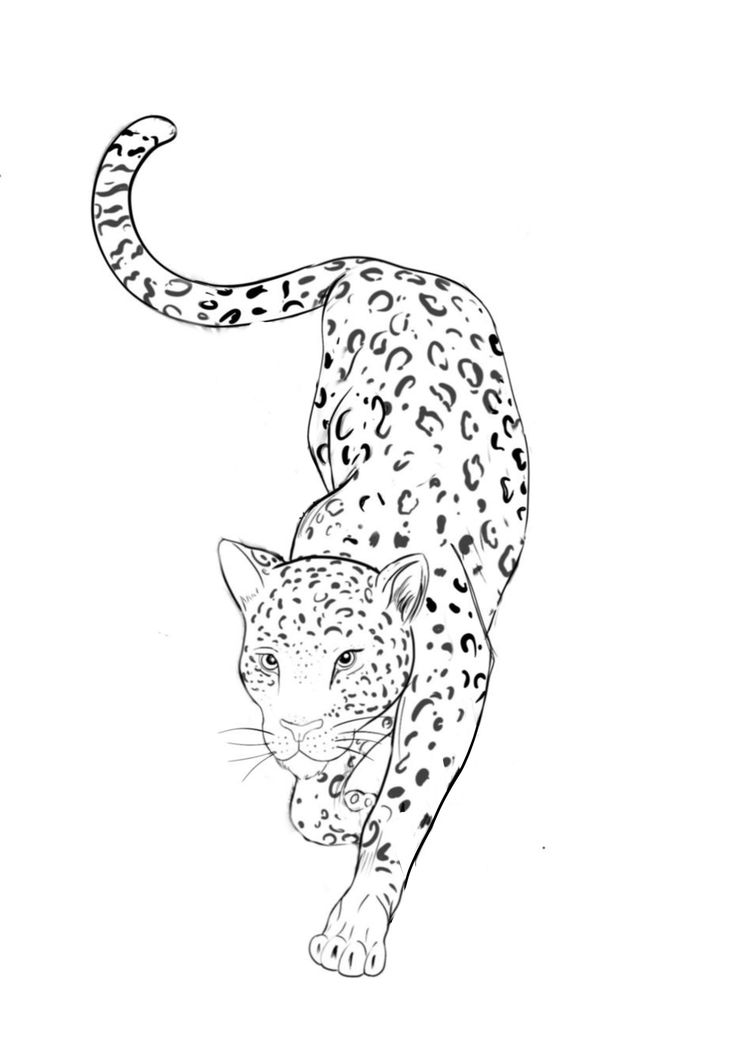 a black and white drawing of a cheetah walking on its hind legs in the wild