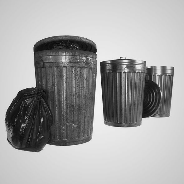 three trash cans and two garbage bags