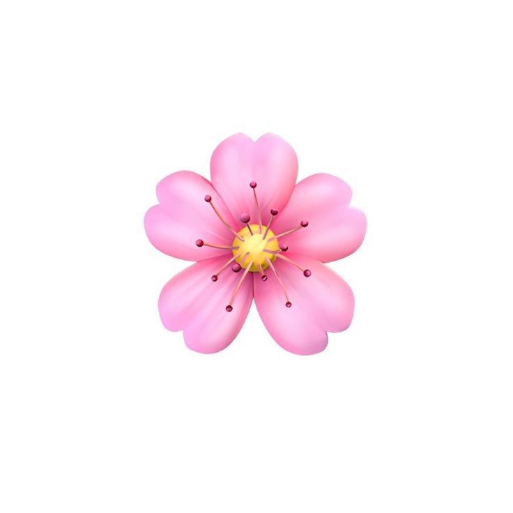 a pink flower is shown on a white background