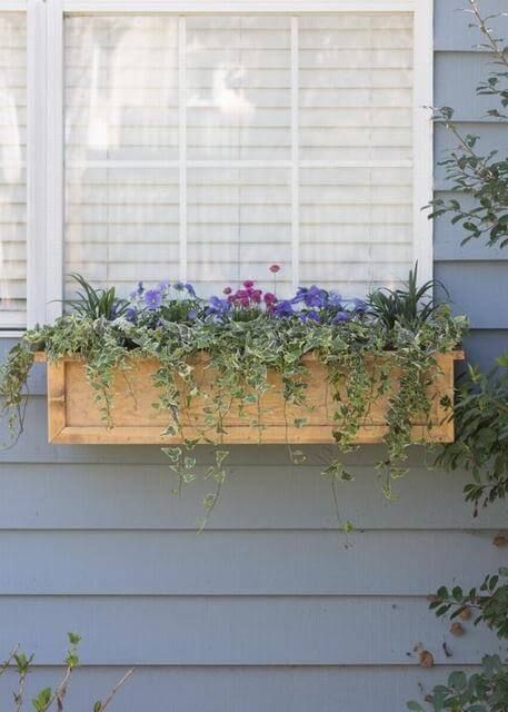 a window box filled with purple flowers and greenery