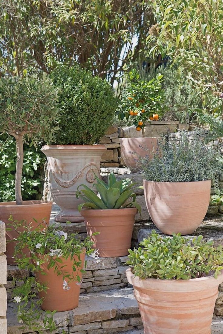 several potted plants sitting on top of stone steps