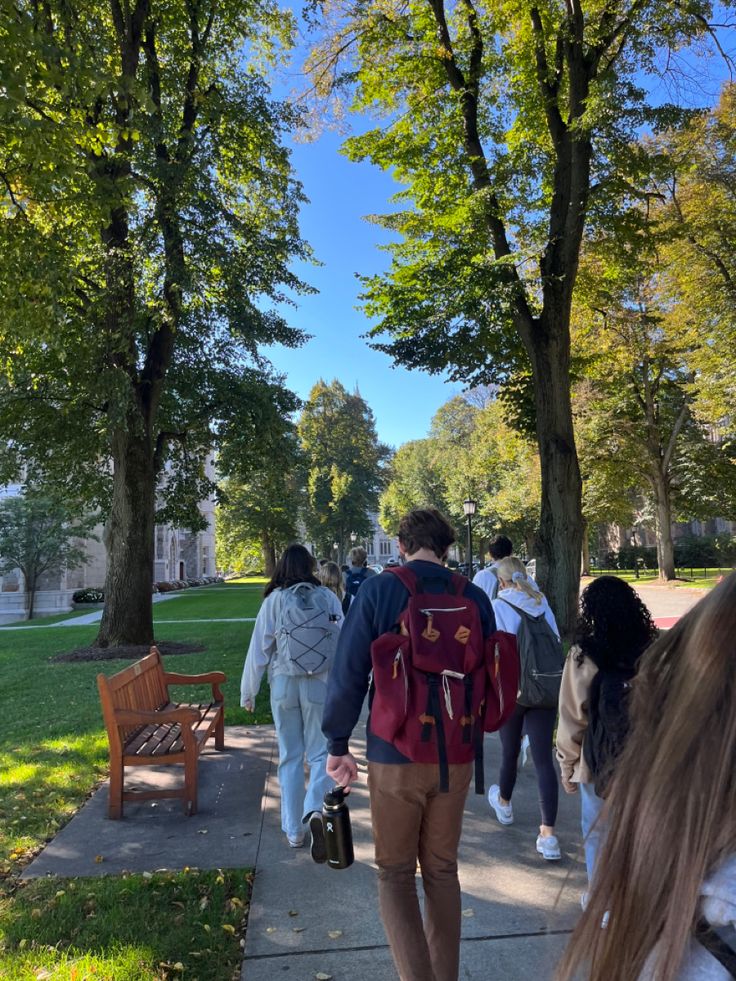 a group of people walking down a sidewalk next to trees and benches on a sunny day