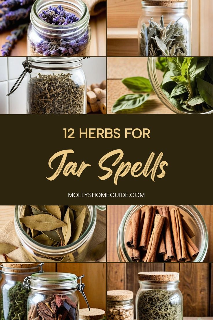 twelve jars filled with herbs and herbs for tar spelles, including lavenders, sage leaves