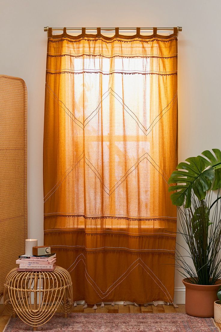 a living room with a rug, potted plant and window