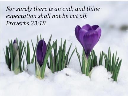 two purple flowers are in the snow with green grass growing out of it, and an inscription that reads afternoon blessings live laugh love