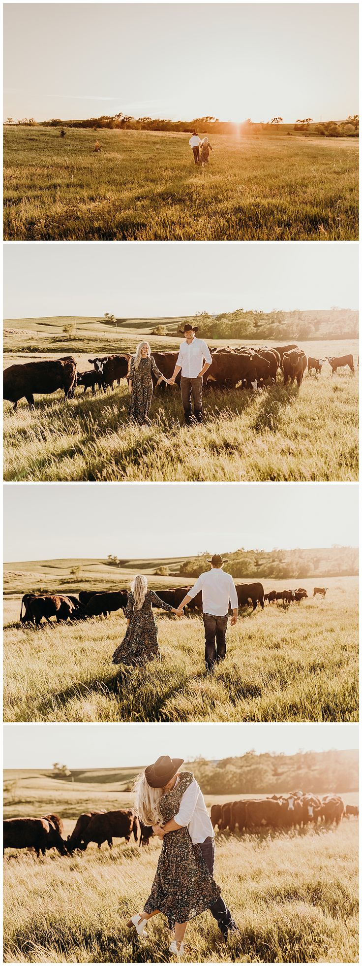 two people are walking through the grass with cows