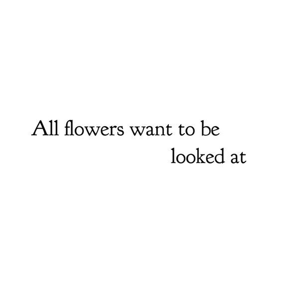 the words all flowers want to be looked at are in black and white letters on a white background