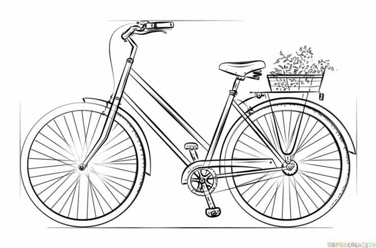 a drawing of a bicycle with a basket full of flowers on the front and back