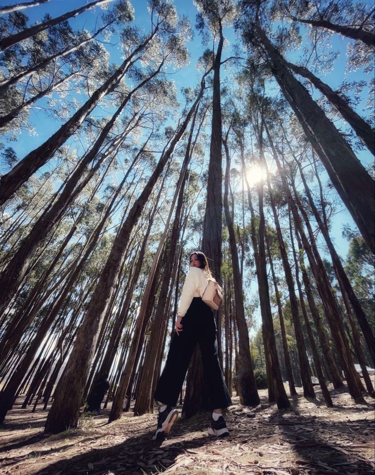 a woman standing in the middle of a forest looking up into the sky with her hands on her hips