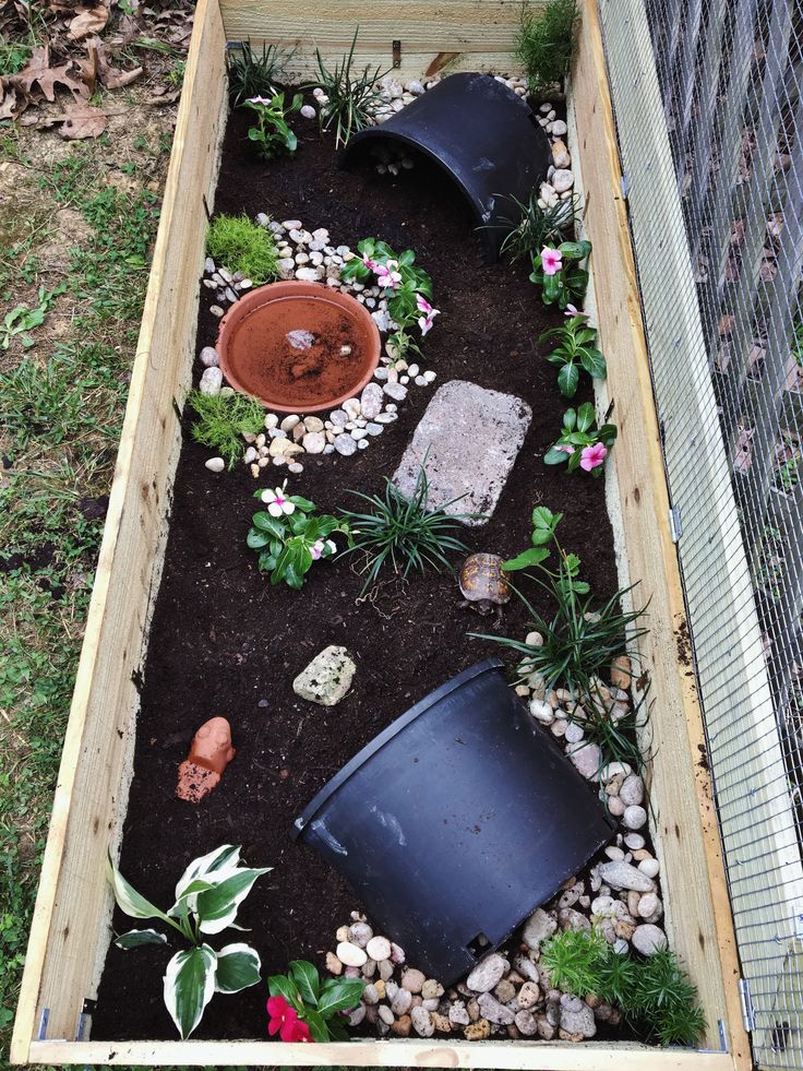 a garden filled with lots of plants and rocks in a wooden box on the ground