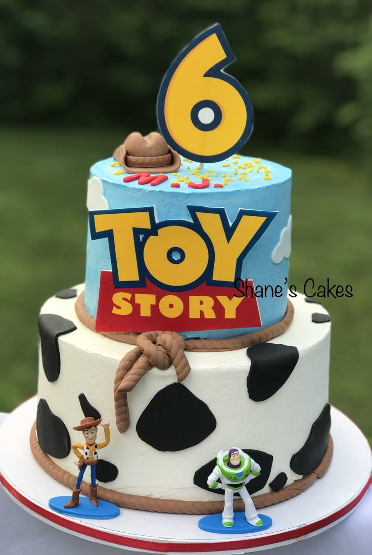 a toy story birthday cake with the number six on it's top and characters