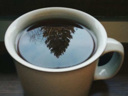 a coffee cup filled with liquid and a tree reflection in the water's surface