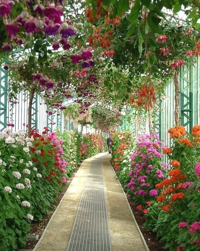 a walkway lined with lots of colorful flowers