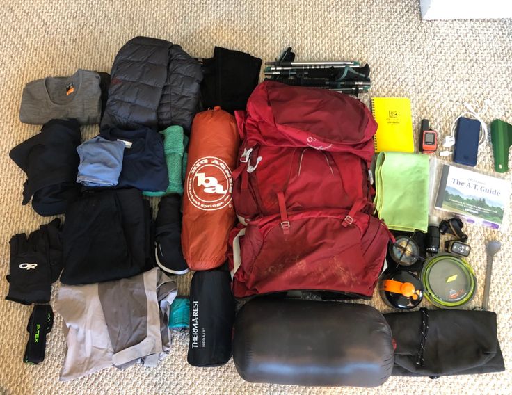 the contents of a backpack laid out on the floor