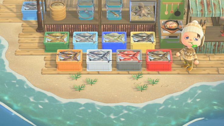 an animal shop with fish and other items on the beach