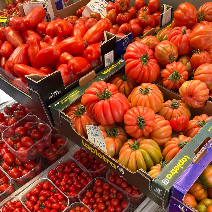 many different types of tomatoes are on display