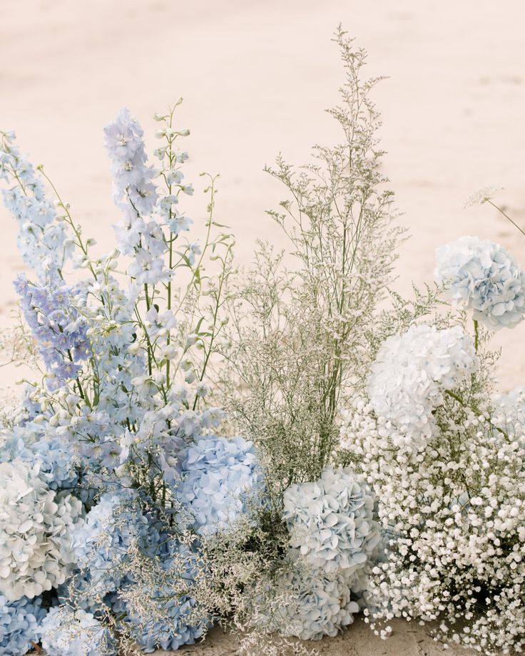 some blue and white flowers are on the sand