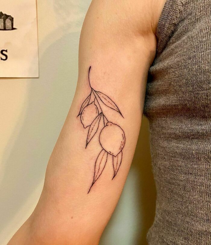 a woman's arm with a tattoo on it that has an olive branch and leaves