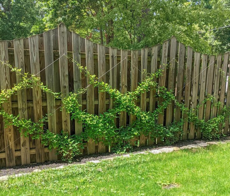 a wooden fence with green plants growing on the top and bottom, along side it