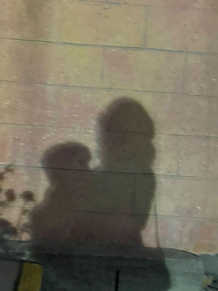 the shadow of a person holding a skateboard in front of a brick wall with flowers