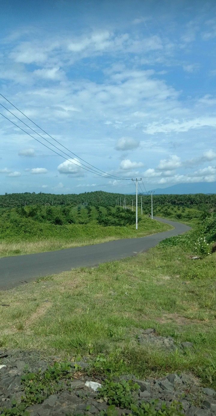 an empty road in the middle of a lush green field with power lines above it