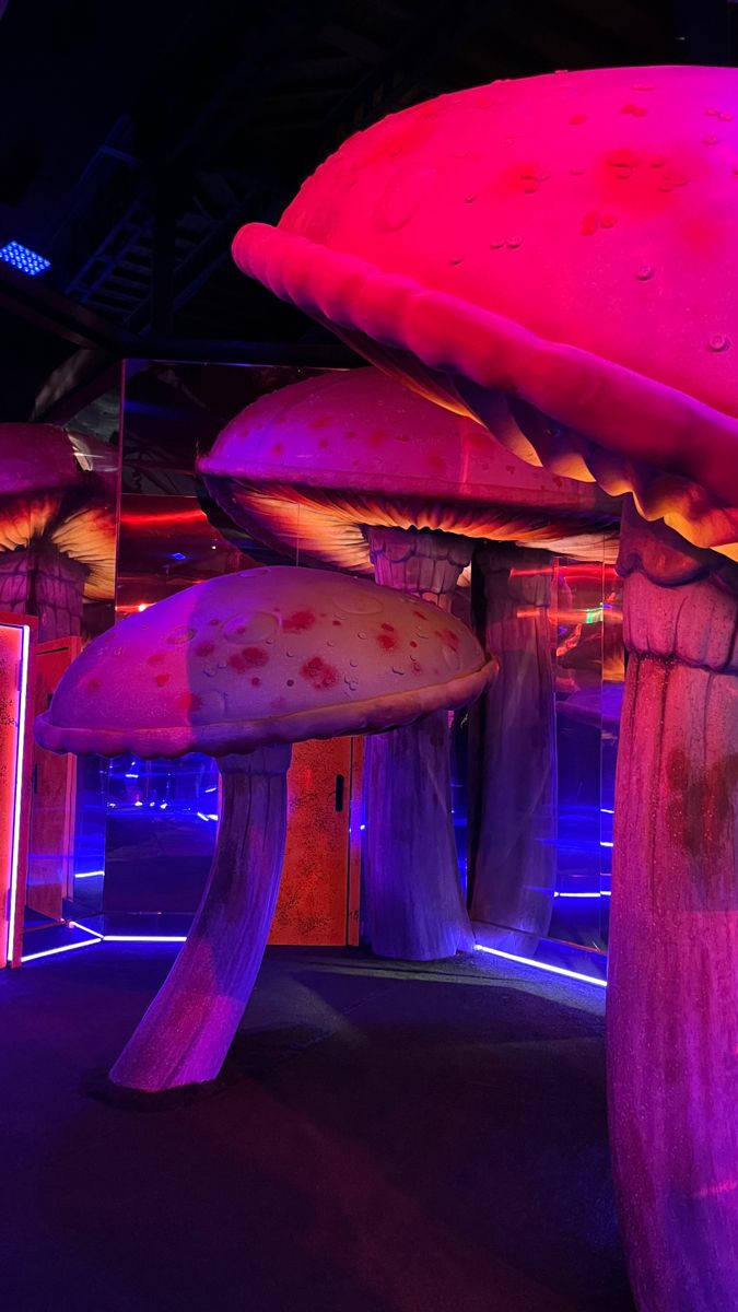 several mushrooms are lit up at night in an indoor area with blue and purple lighting