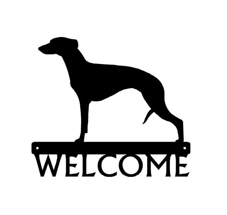 Whippet Dog Welcome Sign with Name Option - The Metal Peddler Welcome Signs breed, Breed w, Dog, Name plaque, name sign, personalized, Personalized Gifts, Personalized Signs, personalizetext, porch, Welcome sign, Whippet Metal Welcome Sign, Small Business Signs, Dog Leash Holder, Cat Key, Whippet Dog, Social Media Signs, Key Holders, Dog Silhouette, Dog Themed