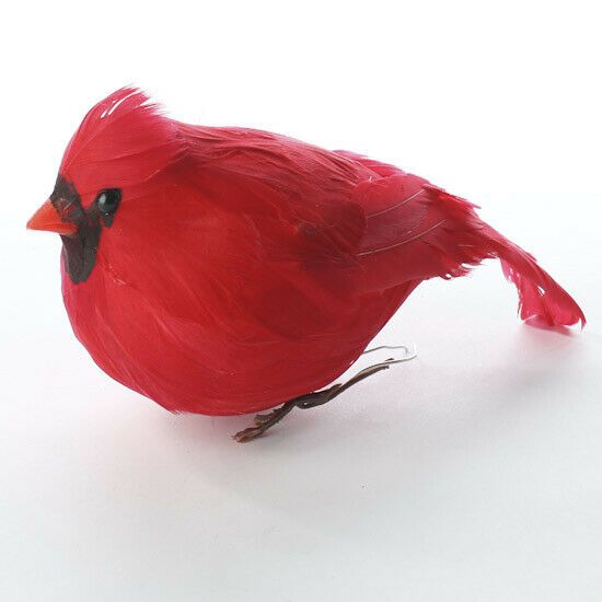 a red bird sitting on top of a white table