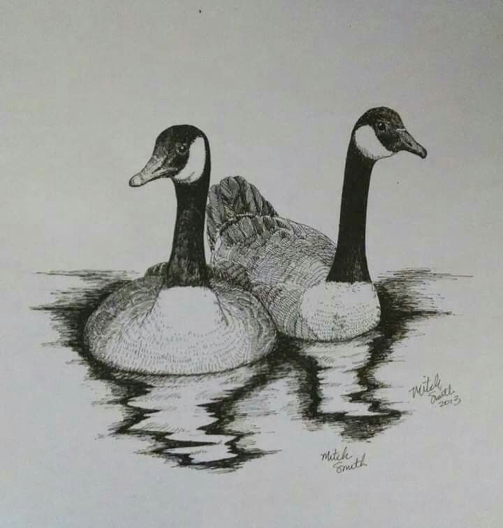 two ducks are swimming in the water