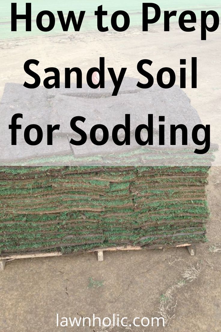 how to prep sandy soil for sodding How To Grow Your Own Sod, Growing Grass In Sandy Soil, Sandy Backyard Solutions, Sandy Soil Gardening, Sandy Soil Landscaping, Sod Installation, Growing Grass, Diy Lawn, Garden Bags