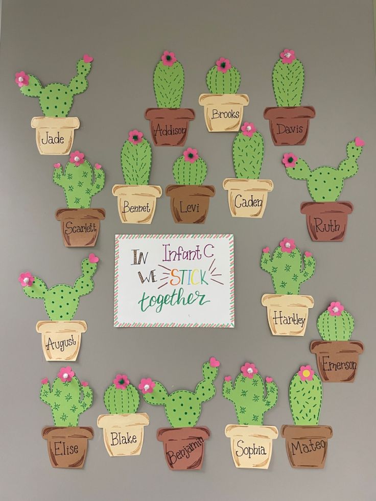 a bulletin board with cactus and potted plants