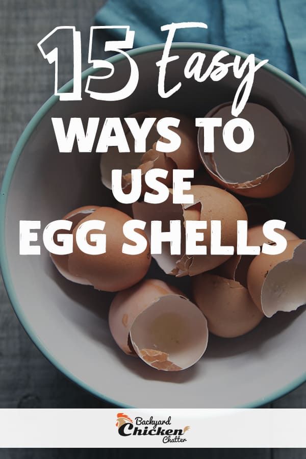 an egg shell in a bowl with the words 15 easy ways to use egg shells