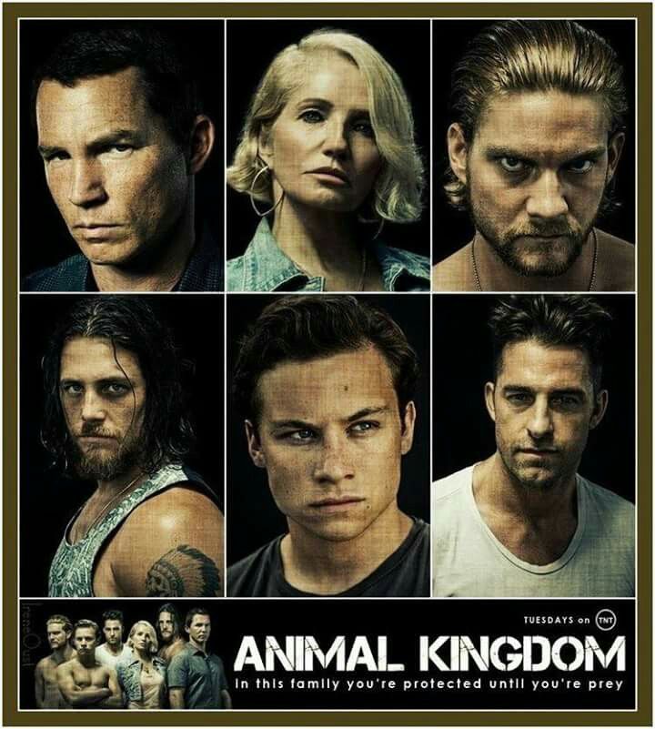 an animal kingdom movie poster with many different faces and people in the same photo, including one