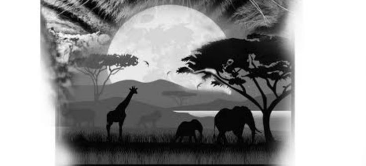 two zebras and three giraffes standing in front of a full moon